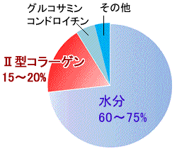 加齢と体内の水分量の変化